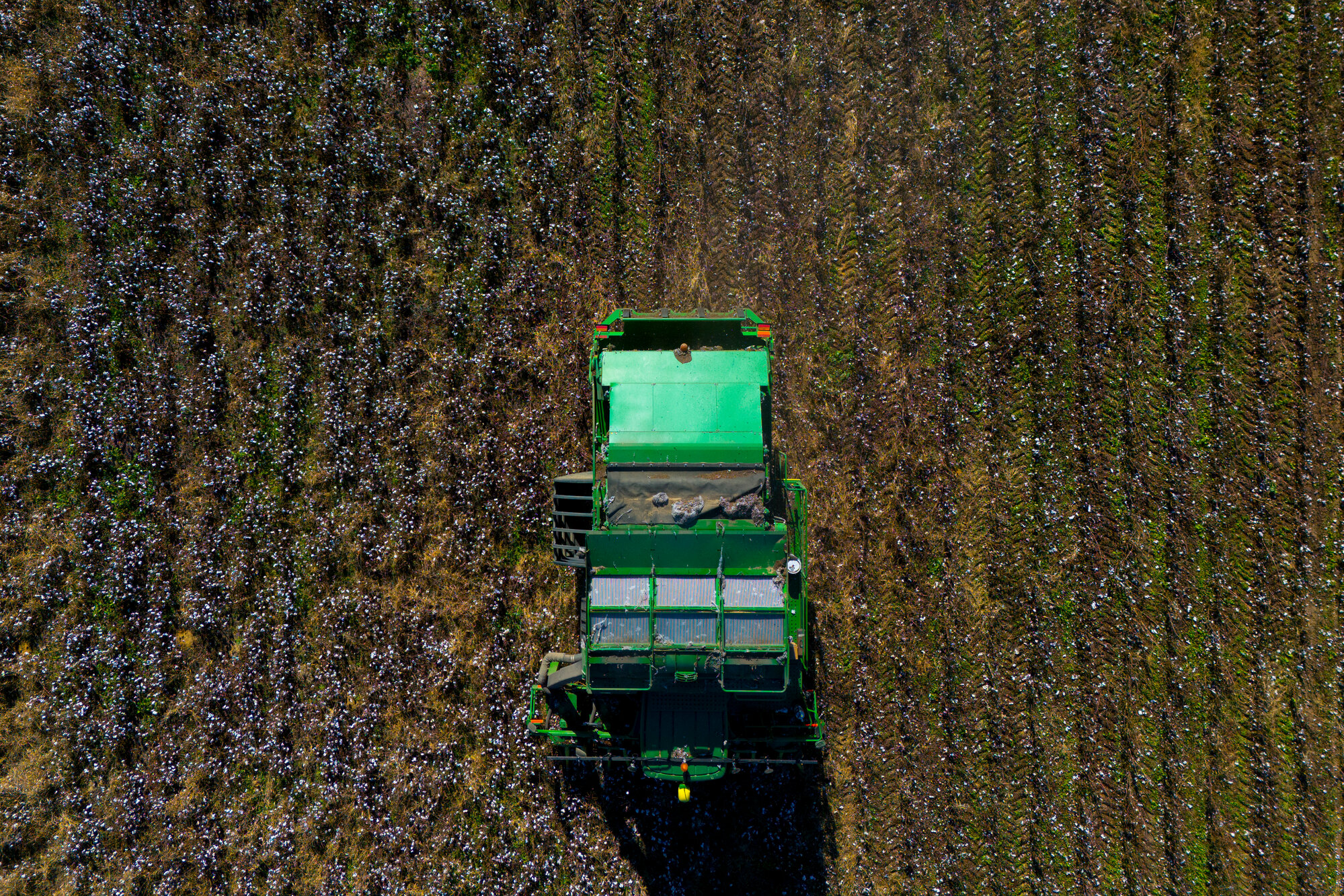 Farmers Are Still Reeling Months After Hurricane Helene Ravaged Crops ...